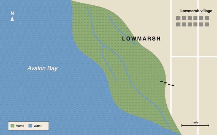 Map of the Lowmarsh wetland in 1974: a wide band of marsh, cut by creeks, between Avalon Bay and the village