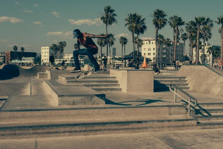 Skaters in a seaside skate park lined with palm trees